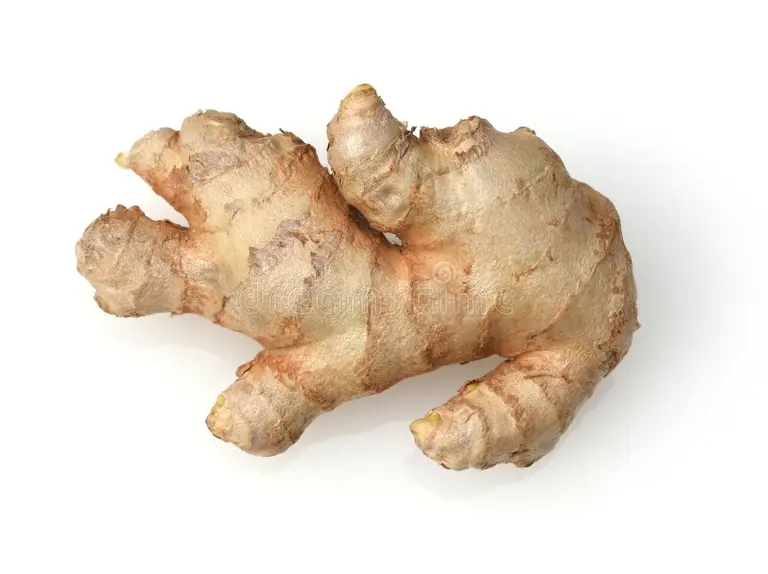 Имбирь ginger czingiber oficziale imbir zingiber officinale yavlyaetsya yuzhnym fruktom 295466359 - Имбирь